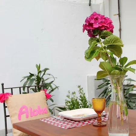 Apartamento Nuevo Con Terraza *